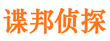 宁城侦探公司